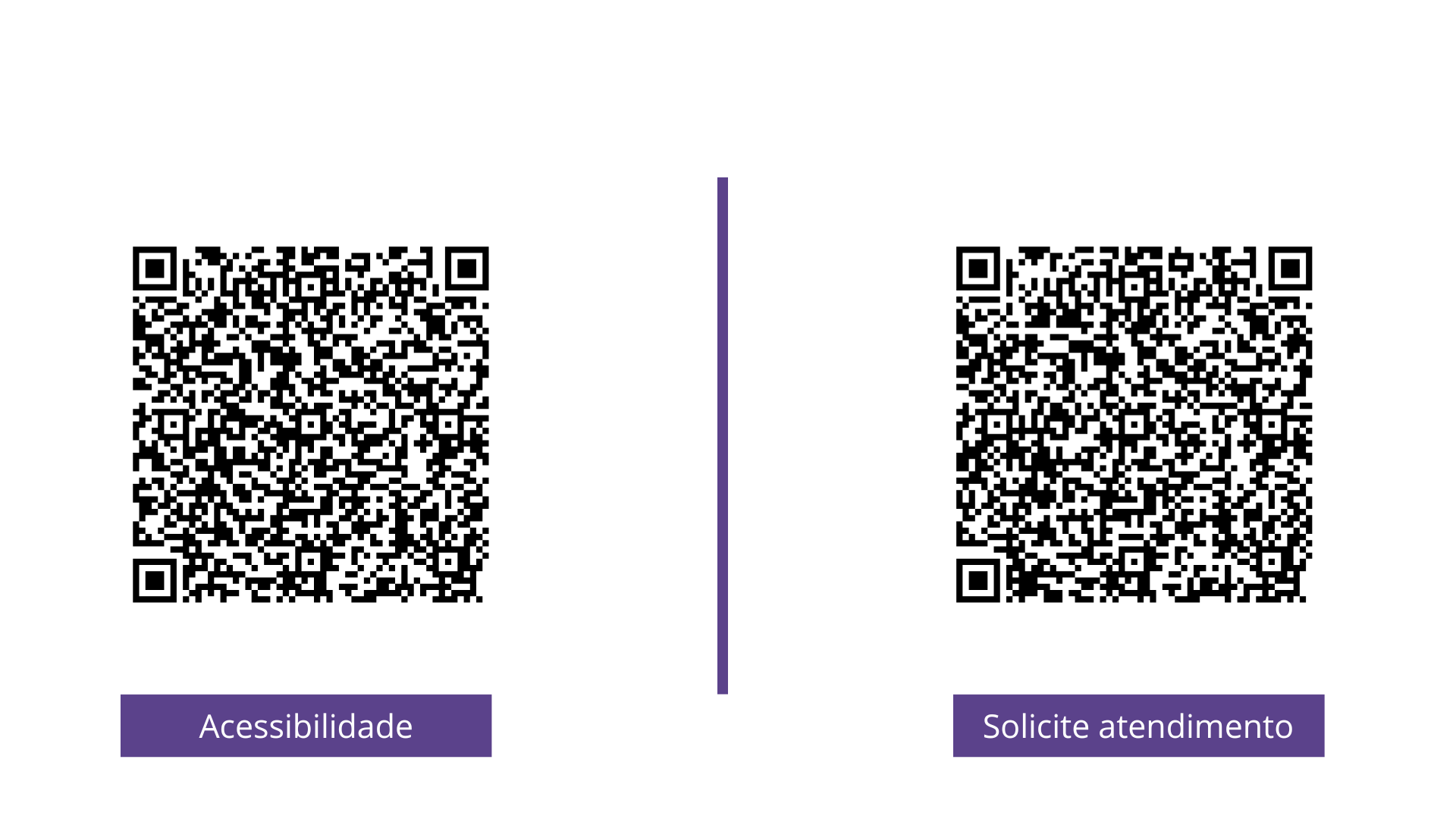 Inserir um subtítulo (1)