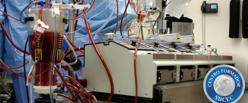 12_SELO TURMA CONFIRMADA.pdf